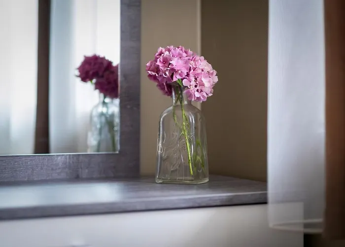 Myflat Premium * Шиофок